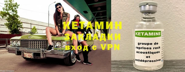 крисы Алексин